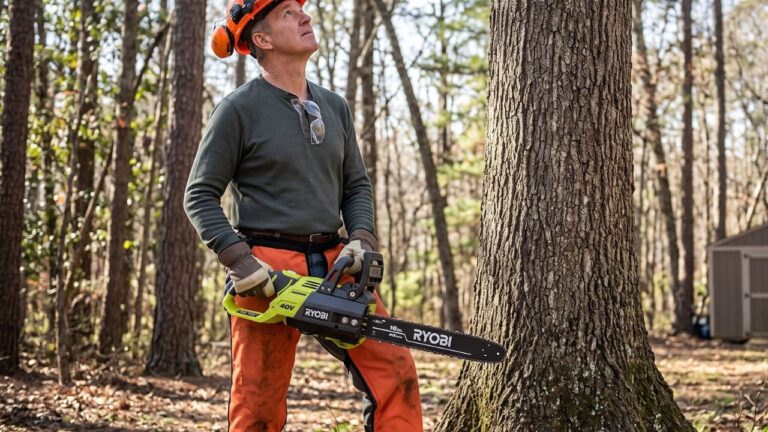 How to Drop a Tree With a Chainsaw