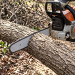 How to Cut Branches With a Chainsaw